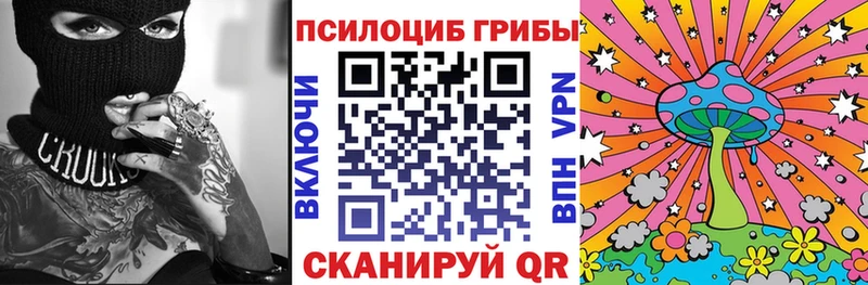 цены   Каргополь  Псилоцибиновые грибы мухоморы 